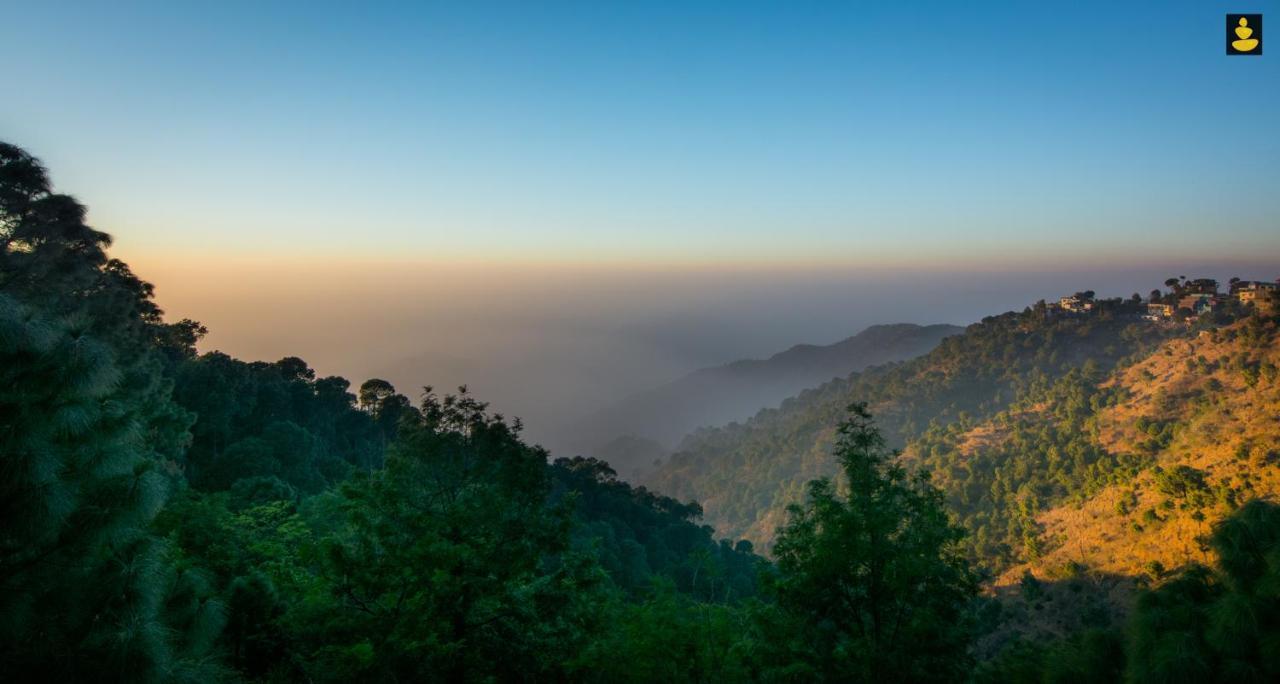 Livingstone 2Bhk Cozy Homestay In Kasauli Hills Ngoại thất bức ảnh